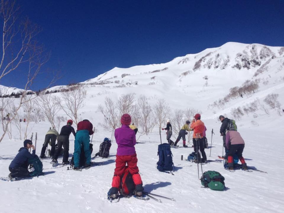 Hakuba Vivaldi Hotel Екстериор снимка
